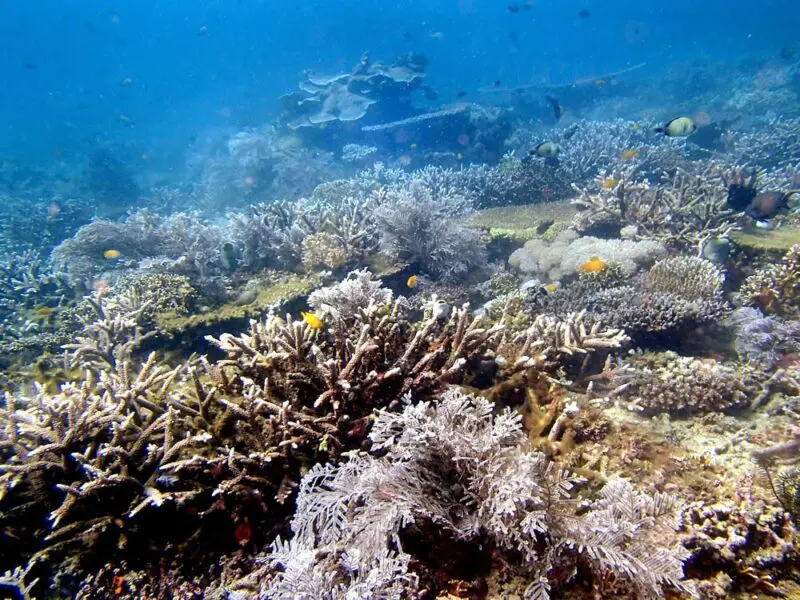 内湾とは違う力強さ！広ーい景観が楽しめます。プエルトガレラの海ログ